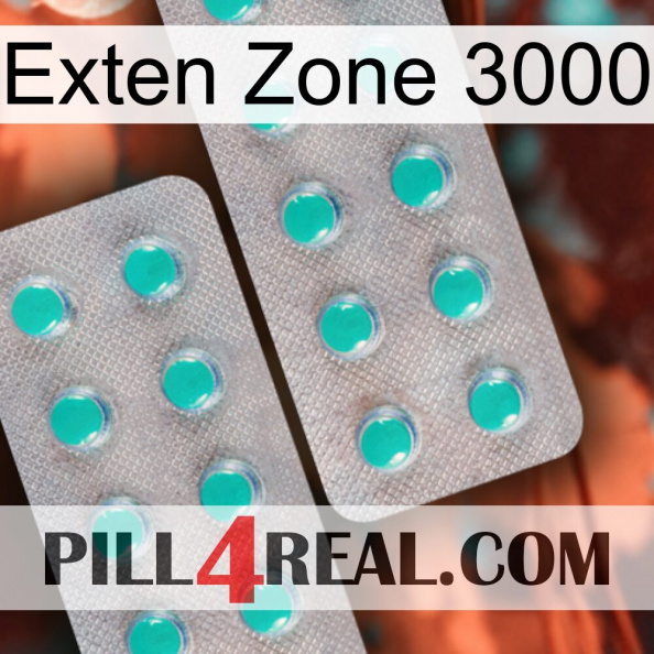 Exten Zone 3000 29.jpg